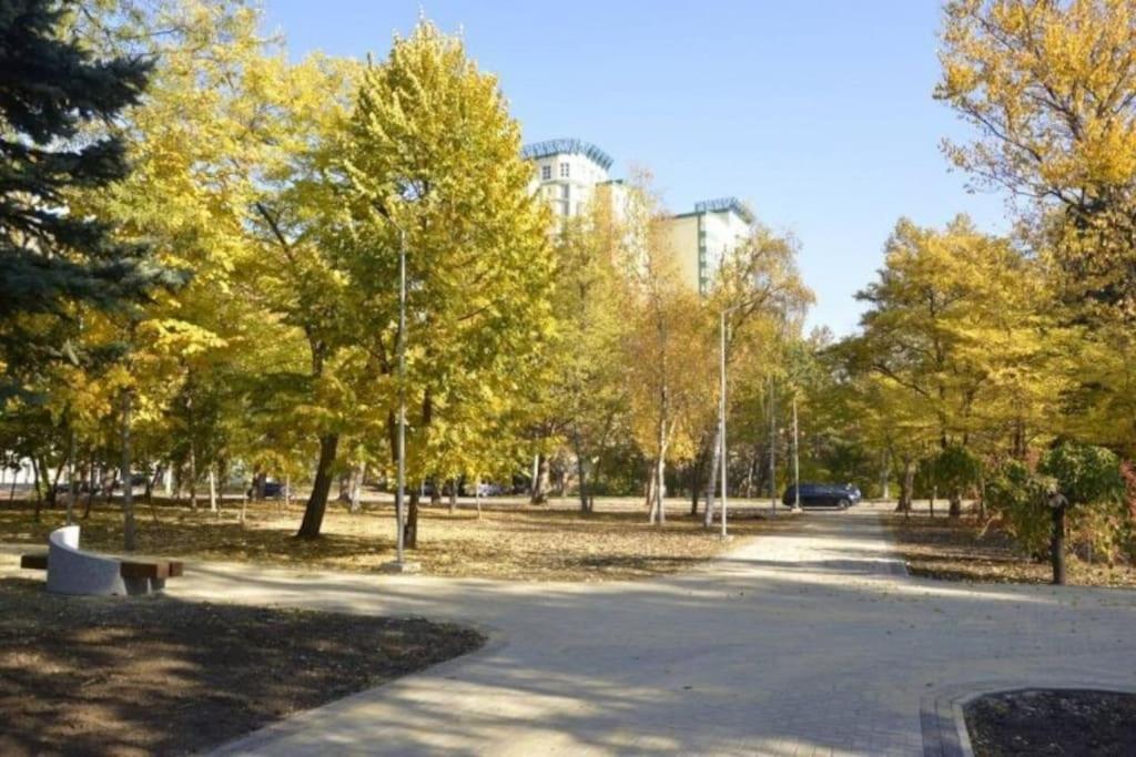 Rich Bunny Apartman Kisinyov Kültér fotó